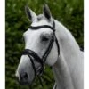 Bridon Anatomique Avec Muserolle Combinée Premier Equine Rizzo