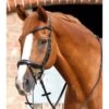 Bridon Anatomique Muserolle Combinée Premier Equine Savuto