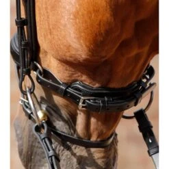 Bridon Anatomique Muserolle Combinée Premier Equine Savuto 6 Bridon Anatomique Muserolle Combinée Premier Equine Savuto -Fournitures Équestres Magasin bridon anatomique muserolle combinee premier equine savuto 2