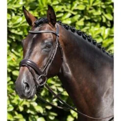 Bridon Anatomique Muserolle Combinée Premier Equine Stellazzio