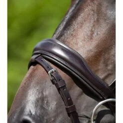 Bridon Anatomique Muserolle Combinée Premier Equine Stellazzio -Fournitures Équestres Magasin bridon anatomique muserolle combinee premier equine stellazzio 3