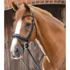 Bridon Anatomique Premier Equine Favoloso