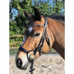 Bridon Aquila Deluxe Horsegear Noir 11 Bridon Aquila Deluxe Horsegear Noir -Fournitures Équestres Magasin bridon aquila deluxe horsegear noir 5