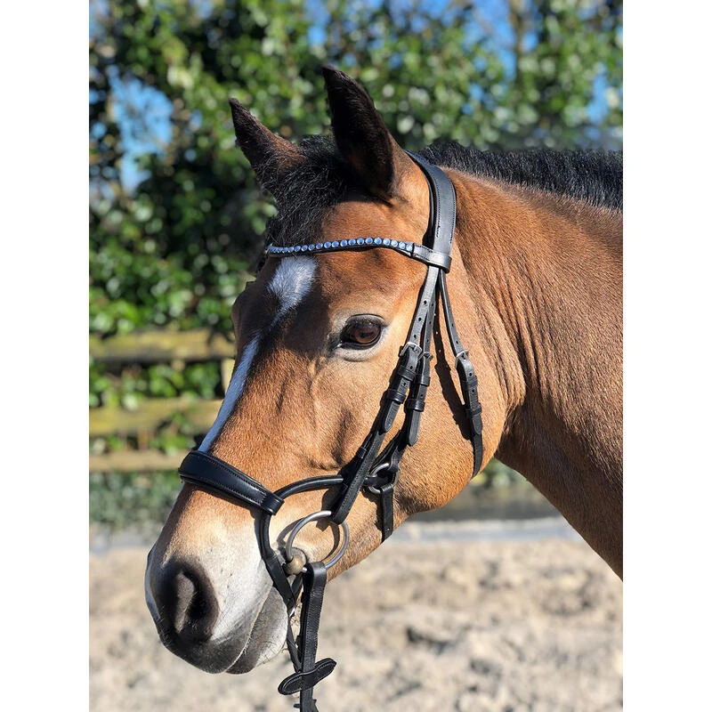 Bridon Aquila Deluxe Horsegear Noir 6 Bridon Aquila Deluxe Horsegear Noir – Image 6