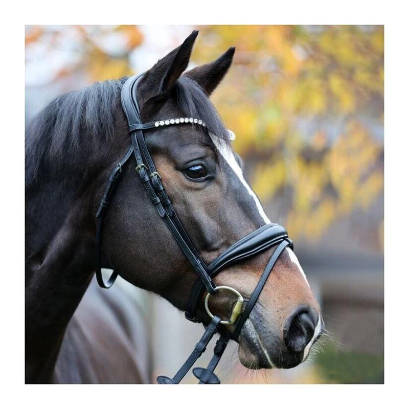 Bridon Avec Muserolle Anglaise Kavalkade Juliana KavalSH5 1 Bridon Avec Muserolle Anglaise Kavalkade Juliana KavalSH5