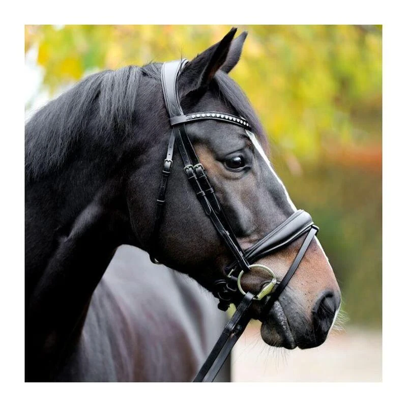 Bridon Avec Strass Kavalkade Charlotte 1 Bridon Avec Strass Kavalkade Charlotte