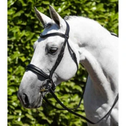 Bridon équitation Anatomique équitation Premier Equine Verdura 7 Bridon équitation Anatomique équitation Premier Equine Verdura -Fournitures Équestres Magasin bridon equitation anatomique equitation premier equine verdura 2