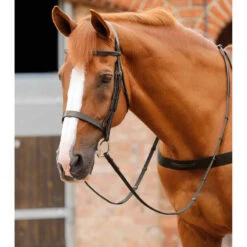 Bridon équitation Pour Hunter Premier Equine Primo 8 Bridon équitation Pour Hunter Premier Equine Primo -Fournitures Équestres Magasin bridon equitation pour hunter premier equine primo 3