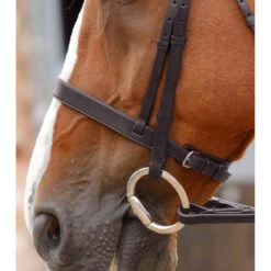 Bridon équitation Pour Hunter Premier Equine Primo 9 Bridon équitation Pour Hunter Premier Equine Primo -Fournitures Équestres Magasin bridon equitation pour hunter premier equine primo 4