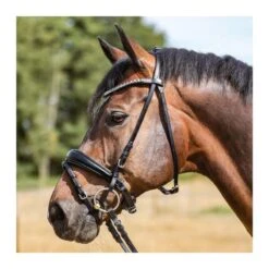 Bridon Kavalkade Ayana KavalSH4