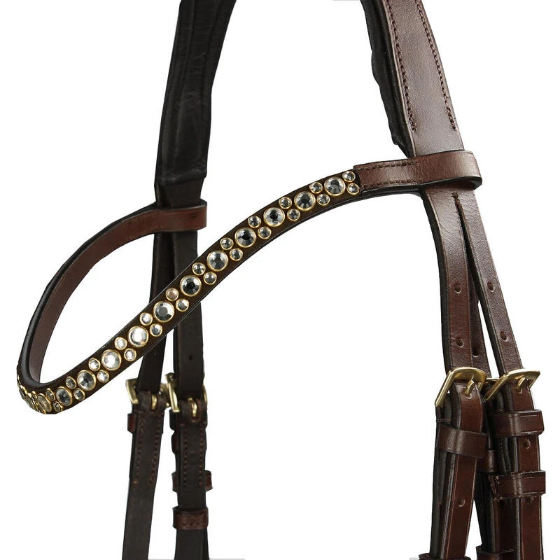 Bridon Pitbull Epplejeck Marron-marron Foncé 2 Bridon Pitbull Epplejeck Marron-marron Foncé – Image 2