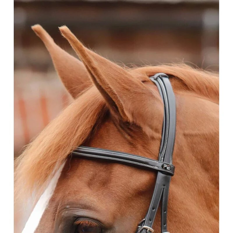 Bridon Premier Equine Mossimo 3 Bridon Premier Equine Mossimo – Image 3