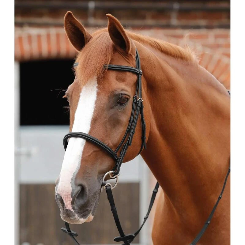 Bridon Premier Equine Mossimo 1 Bridon Premier Equine Mossimo