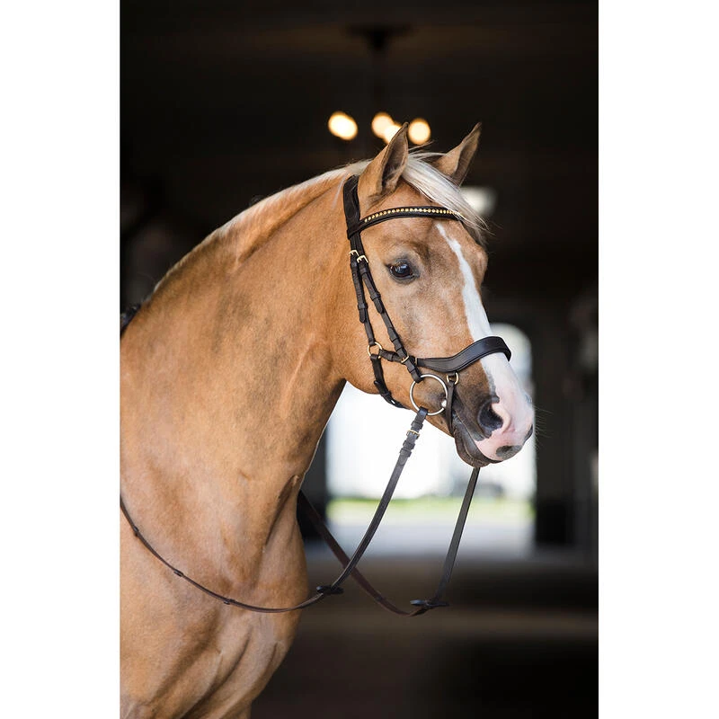 Bridon Quasar Horsegear Marron-doré 4 Bridon Quasar Horsegear Marron-doré – Image 4