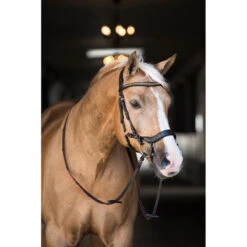Bridon Quasar Horsegear Marron-doré 10 Bridon Quasar Horsegear Marron-doré -Fournitures Équestres Magasin bridon quasar horsegear marron dore 4