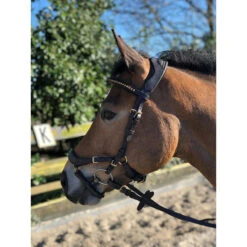Bridon Quasar Horsegear Marron-doré 11 Bridon Quasar Horsegear Marron-doré -Fournitures Équestres Magasin bridon quasar horsegear marron dore 5