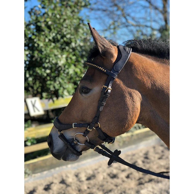 Bridon Quasar Horsegear Marron-doré 6 Bridon Quasar Horsegear Marron-doré – Image 6