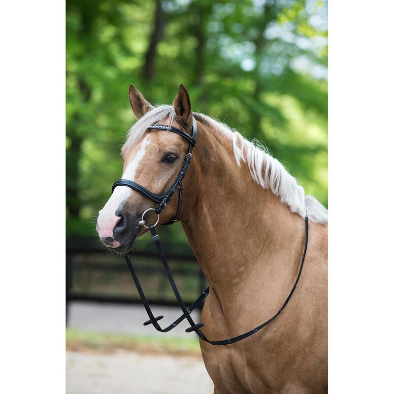 Bridon Styx Horsegear Noir 3 Bridon Styx Horsegear Noir – Image 3