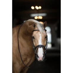 Bridon Taron Horsegear Marron 5 Bridon Taron Horsegear Marron -Fournitures Équestres Magasin bridon taron horsegear marron 2