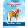 Cavalier - Questions - Réponses Galops 5, 6, 7