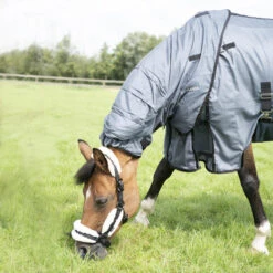 Chemise Anti-mouche équitation Cheval Et Poney - Confort Grise Asphalte 7 Chemise Anti-mouche équitation Cheval Et Poney - Confort Grise Asphalte -Fournitures Équestres Magasin chemise anti mouche equitation cheval et poney confort grise asphalte 2