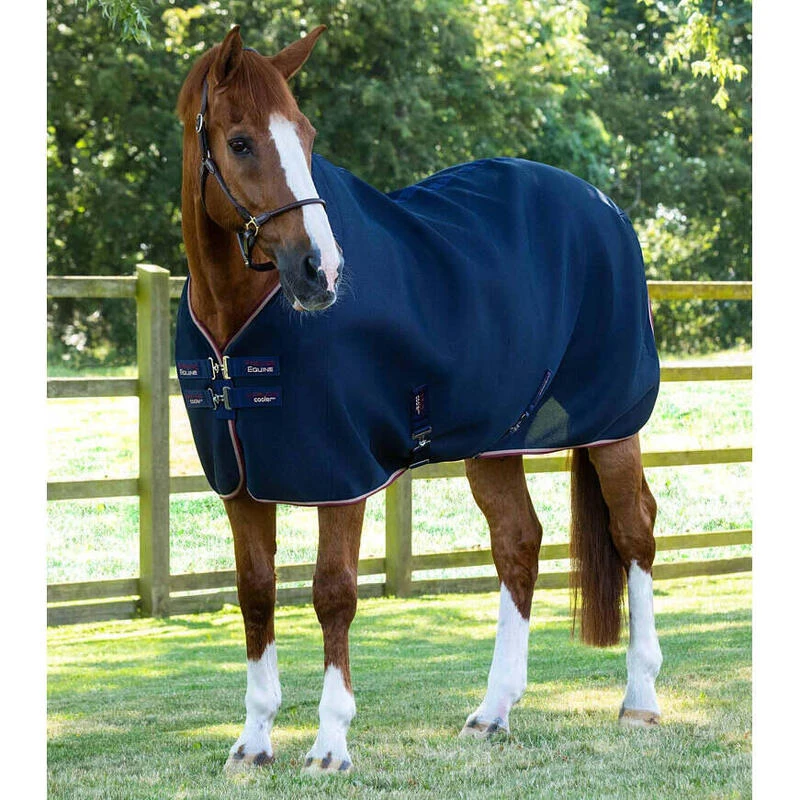 Chemise Pour Cheval Premier Equine Airflow Cooler 1 Chemise Pour Cheval Premier Equine Airflow Cooler