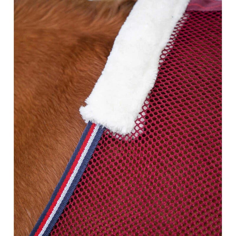 Chemise Pour Cheval Refroidissante Premier Equine Arisca Scrim 2 Chemise Pour Cheval Refroidissante Premier Equine Arisca Scrim – Image 2