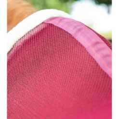 Chemise Pour Cheval Refroidissante Premier Equine Arisca Scrim 8 Chemise Pour Cheval Refroidissante Premier Equine Arisca Scrim -Fournitures Équestres Magasin chemise pour cheval refroidissante premier equine arisca scrim 3