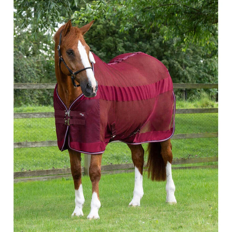 Chemise Pour Cheval Refroidissante Premier Equine Arisca Scrim 1 Chemise Pour Cheval Refroidissante Premier Equine Arisca Scrim