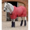 Chemise Séchante Pour Cheval Premier Equine Net-Air