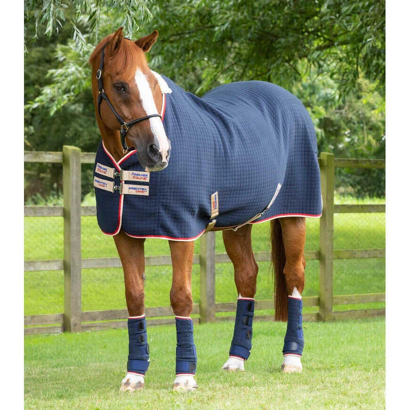 Chemise Séchante Pour Cheval Premier Equine Premtex 1 Chemise Séchante Pour Cheval Premier Equine Premtex