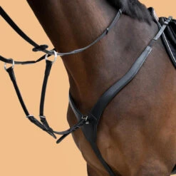 Collier De Chasse 3 Points Cheval Et Poney - Noir -Fournitures Équestres Magasin collier de chasse 3 points cheval et poney noir 2