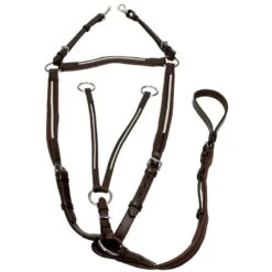 Collier De Chasse Rudimental Epplejeck Marron