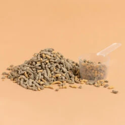 Complément Alimentaire Multivitaminé Cheval Et Poney - CMV Boost 2 Kg 5 Complément Alimentaire Multivitaminé Cheval Et Poney - CMV Boost 2 Kg -Fournitures Équestres Magasin complement alimentaire multivitamine cheval et poney cmv boost 2 kg 2