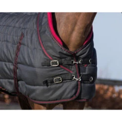 Couverture D'écurie Pour Cheval QHP Luxury Collection 200g -Fournitures Équestres Magasin couverture decurie pour cheval qhp luxury collection 200g 2