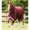 Couverture D'extérieur Imperméable Pour Cheval Avec Couvre-cou Premier Equine Bu