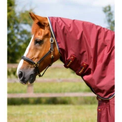 Couverture D'extérieur Imperméable Pour Cheval Avec Couvre-cou Premier Equine Bu -Fournitures Équestres Magasin couverture dexterieur impermeable pour cheval avec couvre cou premier equine bu 2