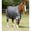 Couverture D'extérieur Imperméable Pour Cheval Premier Equine Buster Hardy 0 G