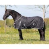 Couverture D'extérieur Pour Cheval à Grand Cou QHP 300g
