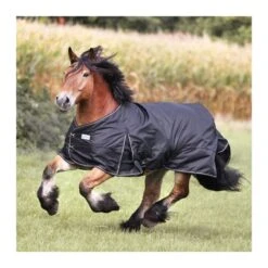 Couverture D'extérieur Pour Cheval Kavalkade Draft Horse -Fournitures Équestres Magasin couverture dexterieur pour cheval kavalkade draft horse 2