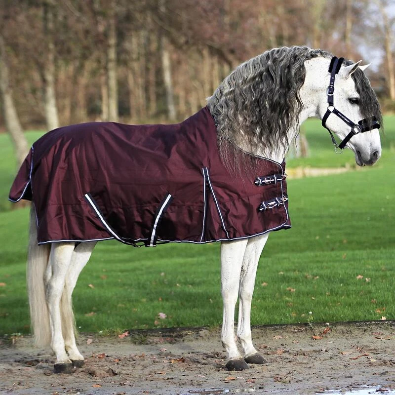 Couverture Extreme 300 G Horsegear Violet 3 Couverture Extreme 300 G Horsegear Violet – Image 3