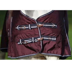 Couverture Extreme 300 G Horsegear Violet 9 Couverture Extreme 300 G Horsegear Violet -Fournitures Équestres Magasin couverture extreme 300 g horsegear violet 3