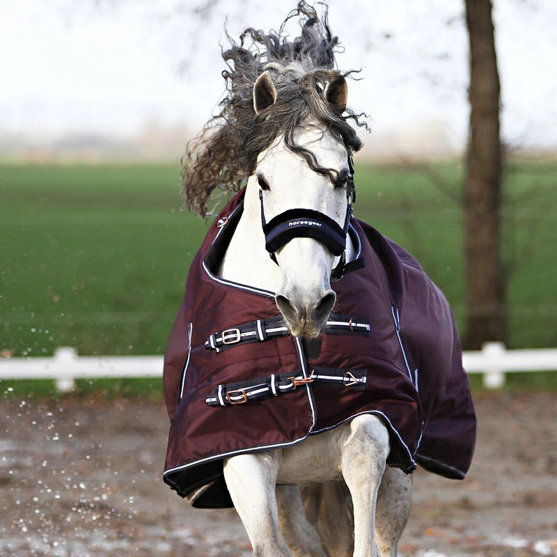 Couverture Extreme 300 G Horsegear Violet 6 Couverture Extreme 300 G Horsegear Violet – Image 6