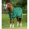 Couverture Polaire Séchante Pour Cheval Premier Equine Buster Continental 280g