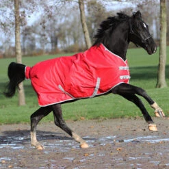 Couverture Rindal 300gr Epplejeck Rouge -Fournitures Équestres Magasin couverture rindal 300gr epplejeck rouge 2