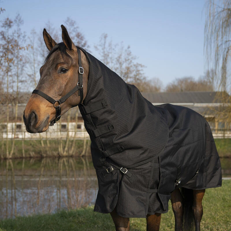 Couvre-cou équitation Imperméable Cheval - Allweather 200 Noir 2 Couvre-cou équitation Imperméable Cheval - Allweather 200 Noir – Image 2