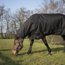 Couvre-cou équitation Imperméable Cheval - Allweather 200 Noir 9 Couvre-cou équitation Imperméable Cheval - Allweather 200 Noir -Fournitures Équestres Magasin couvre cou equitation impermeable cheval allweather 200 noir 2