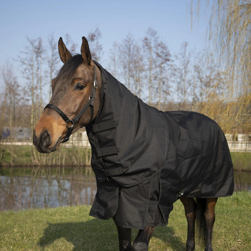 Couvre-cou équitation Imperméable Cheval - Allweather Light Noir 2 Couvre-cou équitation Imperméable Cheval - Allweather Light Noir – Image 2