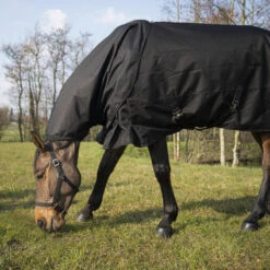 Couvre-cou équitation Imperméable Cheval - Allweather Light Noir 9 Couvre-cou équitation Imperméable Cheval - Allweather Light Noir -Fournitures Équestres Magasin couvre cou equitation impermeable cheval allweather light noir 2