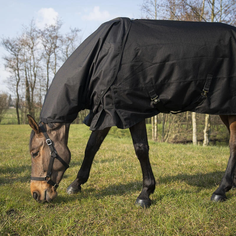Couvre-cou équitation Imperméable Cheval - Allweather Light Noir 3 Couvre-cou équitation Imperméable Cheval - Allweather Light Noir – Image 3